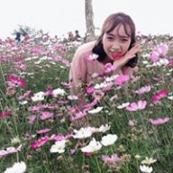 Marry99