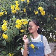 QUYNH19