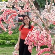 ntdieuphuong