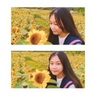 Linh Lú Lẫn