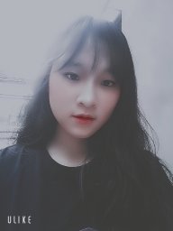 Beeee1116