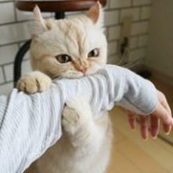 Thanhthuy99