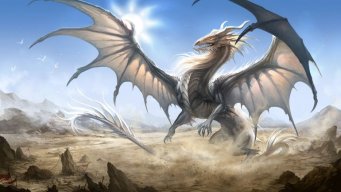 Dragon406