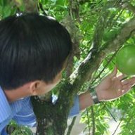 ThanhHuy