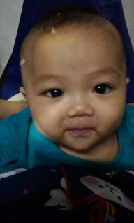phungbichtruong