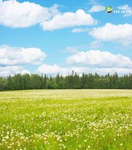 blue sky of hope