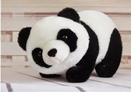 nguyendoyle8