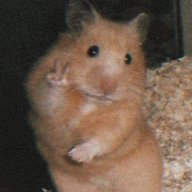 ThitVienChien