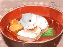 Catlazy