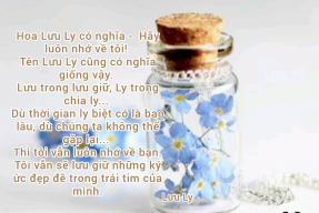 Lưu ly 99