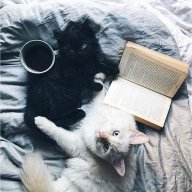 _Tử_ts.bq