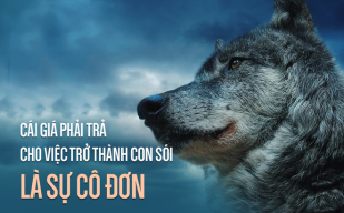 Sói