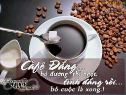 Hải Âu