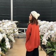 Khả Vy Tiểu Đại Nhân