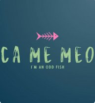 Cá Mê Mèo