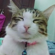 Đỗ Xanh