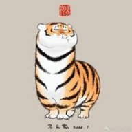 neilhoang