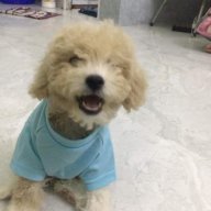 OChang