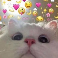 Mignon