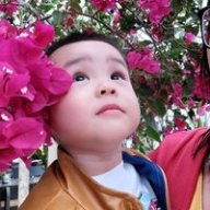 Linh4477