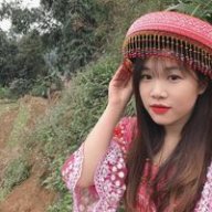 Anhnguyen239