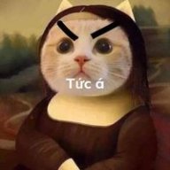 Quynhcat2410