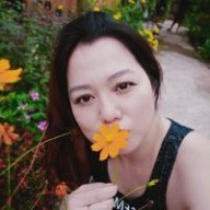 Thao kim