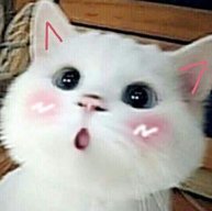 YunaMoe