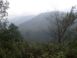 Mưa Hoài
