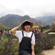 Vũ Lân Chi