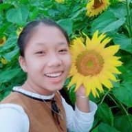 Tú Linh