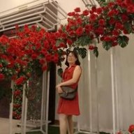 trương thùy trân