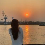 Bổn vương ở đây
