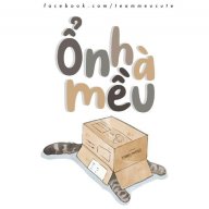 Ổ Nhà Mều