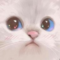 kittyyy
