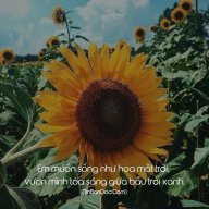 Mạn Cố Tư Thành