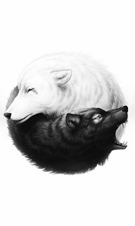thewolf00