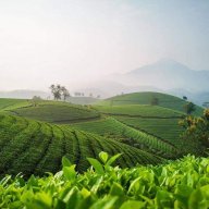 Bỏ lỡ nụ cười