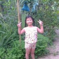 Nguyễn Trần Lê Huỳnh
