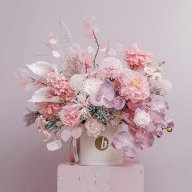 Em Hoa Hồng Giấy