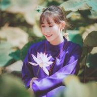 Hongvan123
