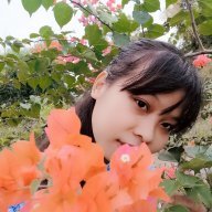 Thư Quán