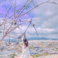 Gấu Trắng say nắng