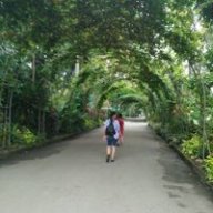 StellaHangVu