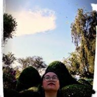 Phoebe Tạ