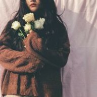 Chú cáo đáng yêu