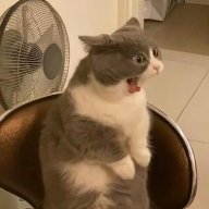 Mất điện thoại rồi