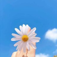 Hạ Thị An Nhiên