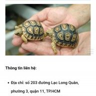 Làm lại từ đầu