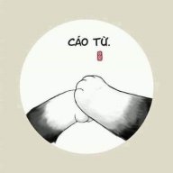Qing17